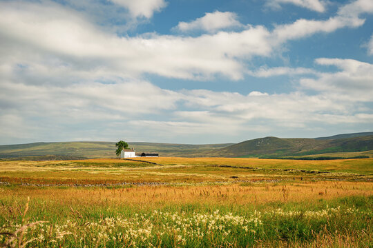 Wild Meadows in the North Pennines at Upper Teesdale,  a landscape of sweeping  moorlands, renowned for vast open skies, winding rivers and historic stone buildings in a National Landscape