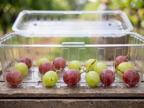 Transparent plastic box container with fresh table grapes on wooden table