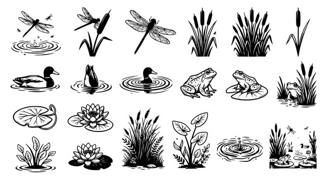 Vintage style black and white illustration of pond life and wetland plants