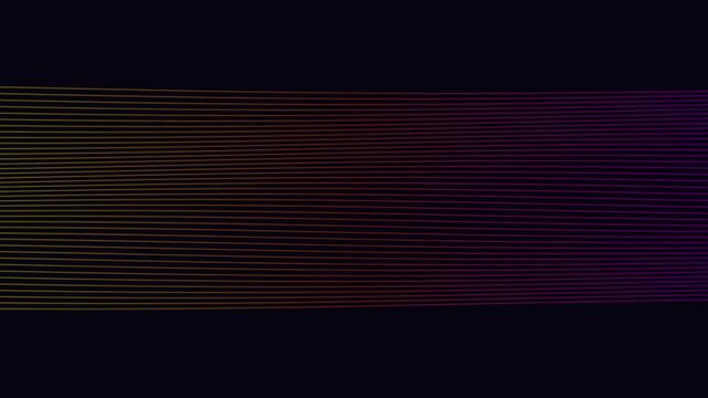 Gold and Magenta Sine Wave Lines on Navy Blue Motion Graphic Loop