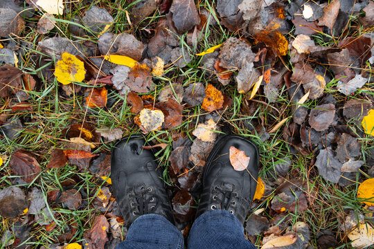 First person view of black leather boots walking on wet autumn leaves and grass in a foggy morning forest landscape