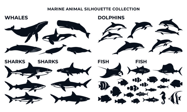 Marine animal silhouette vector bundle featuring whales dolphins sharks stingray clownfish seahorse and tropical fish icons for ocean wildlife graphic design projects
