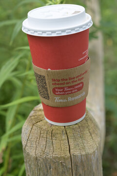discarded Tim Hortons beverage cup on a post along a trail in the woods, Toronto