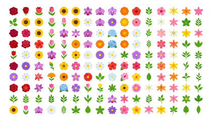 Colorful Garden Flower Blossom and Green Leaf Vector Icon Set with Rose Sunflower Orchid Tulip Lily and Hibiscus Floral Symbols for Wedding Invitation Graphic Designs © Borsha