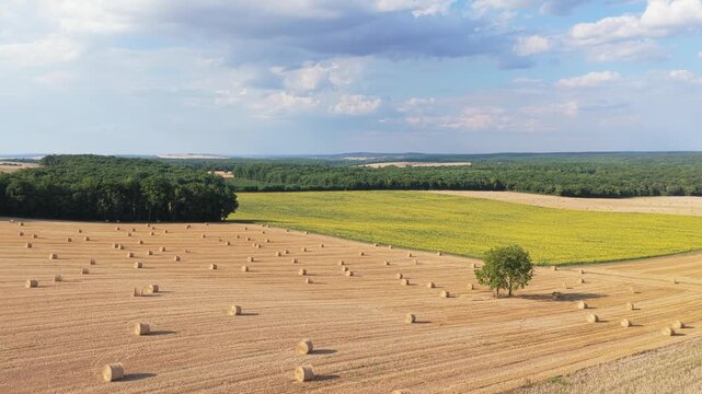 A wide rural landscape in Nievre, France, featuring golden harvested fields dotted with round hay bales, a single tree, aerial view.