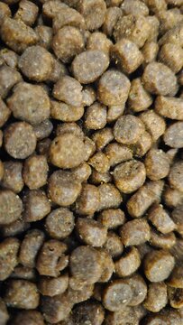 Close-up of Brown Pet Food Kibble Background