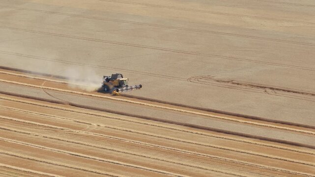 A combine harvester operating in a vast golden wheat field in Nievre, France. The machine moves through the crop, leaving neat rows of harvested grain and clouds of dust in its wake, aerial view.