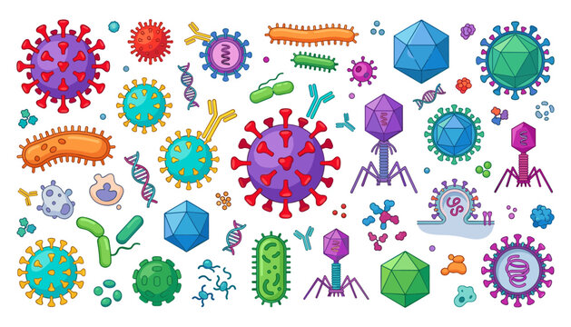 Vector set of colorful microscopic viruses, bacteria cells, bacteriophages, antibodies, and DNA helix structures for medical microbiology and immunology education designs.