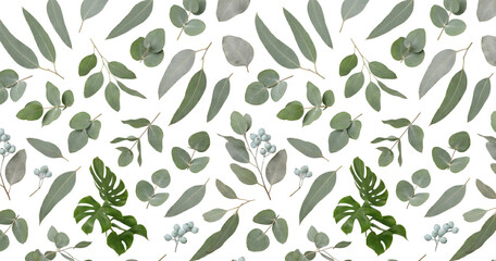 Eucalyptus leaves and monstera branches on transparent background © Pimpun