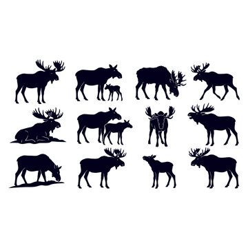 Wild Animal Silhouettes Collection Featuring Horse, Giraffe, Cow, Elephant, Deer, Goat, Dog, Cat, Lion and Tiger in Black Vector Illustration