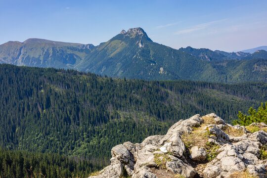 Panoramic view of green forest valley and distant mountain peak from rocky foreground