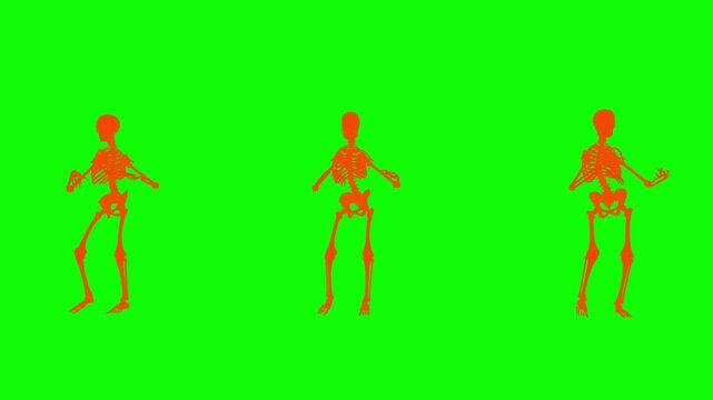 Dancing skeletons perform synchronized rumba choreography in a vibrant 3D animation on green screen background for Halloween music video editing and compositing