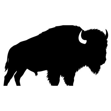 American bison silhouette vector graphic, outline of buffalo profile, wild animal illustration on white background, nature logo design element