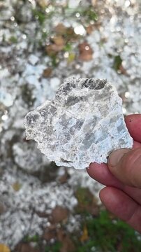 Male hand slowly turns a large white muscovite mica specimen, silvery layered cleavage catching the daylight, above mica strewn ground at an old mica mine in an autumn forest.