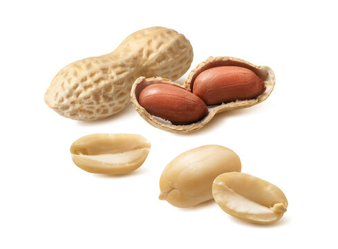 Ground nut, peanut group isolated on white background. Real photography