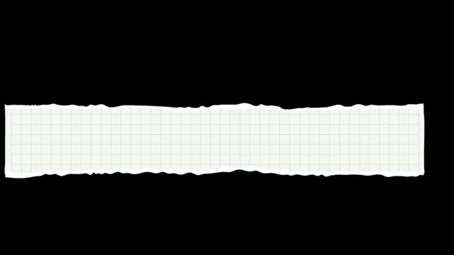 White torn grid paper strip banner with ripped edge isolated on transparent background simple graphic design element for text box template notebook texture