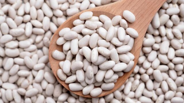 dry uncooked white navy beans inside a rustic wooden spoon