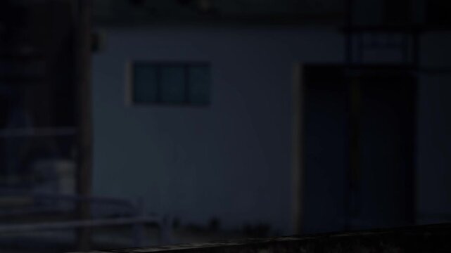 In a dark setting, a person stands near a ledge looking at the building in front. The area has walls with windows and hints of street light in the background.