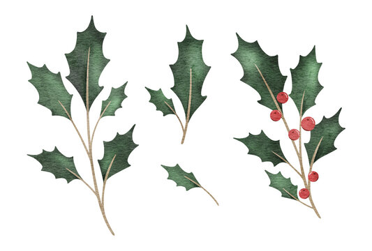 Set of Christmas bouquet of holly branches with red berries. Emerald ilex leaves. Botanical Winterberry. Hand painted watercolor illustration for wedding invitation, pack, christmas card