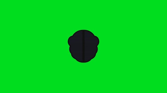 A stylized black turtle shell icon set against a vibrant green background