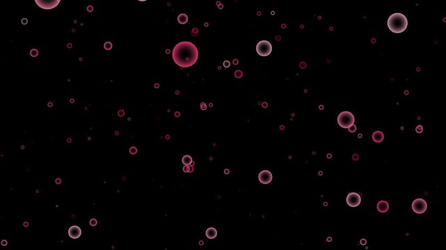 particles background video download
