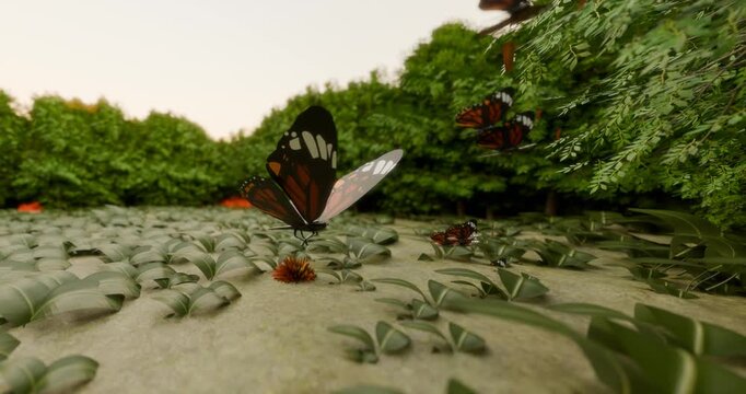 Monarch butterfly Danaus plexippus landing near a wildflower in a lush green forest 3D render animation, migration phenomenon in Mexico at sunset from November through January