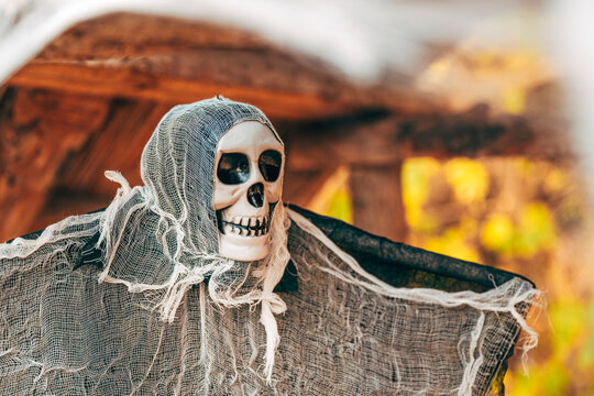 Skull figure draped in torn mesh cloth as eerie Halloween decor on wooden background, seasonal spooky theme.