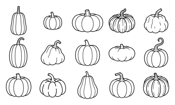 Set of hand drawn pumpkin sketches isolated on a white background for autumn and harvest design