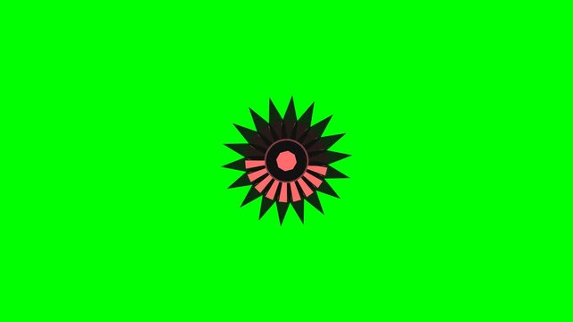 A geometric black and salmon star shape centered on a vivid green background