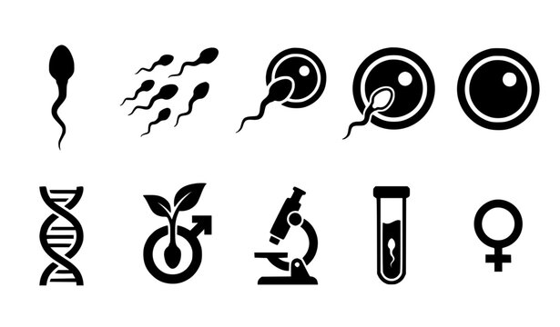 Sperm Cell Fertility and Reproductive Health Solid Vector Icons