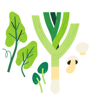 Leek Leaves Mushrooms Recipe Illustration Cook Book Hand Drawn Texture Invisible Background