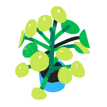 House Plant Spot Illustration Invisible Background 