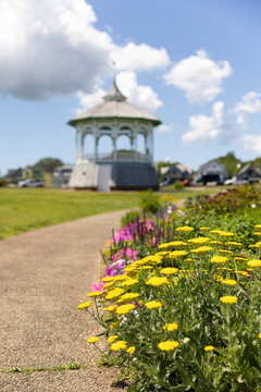 Martha&rsquo;s Vineyard park landscape flower 