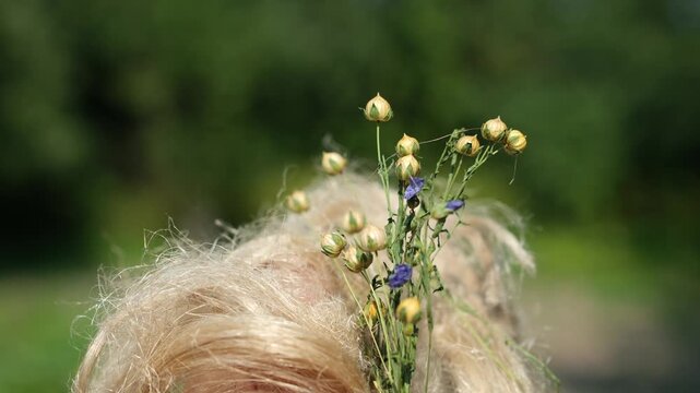 Natural flax stalks with seed pods and raw flax fiber in a woman's hand, with soft focus and a sunlight effect.