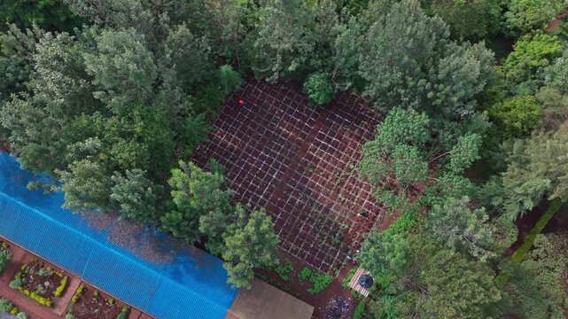 Aerial view of a grid-like agricultural plot surrounded by lush green trees and a blue-roofed building in Meru, Meru County, Kenya.