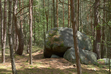 Granite boulder in forest near Zihle © Milan