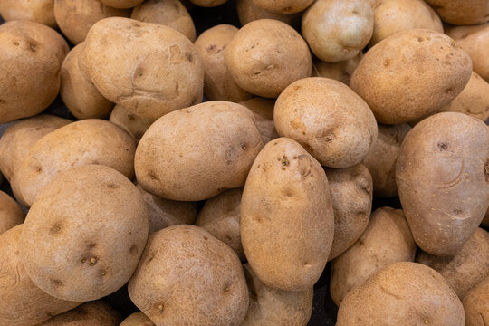 Abundant pile of fresh, earthy potatoes with golden brown skin and subtle light showcasing natural textures and healthy organic produce