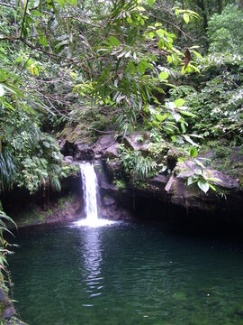 Cascade tropicale