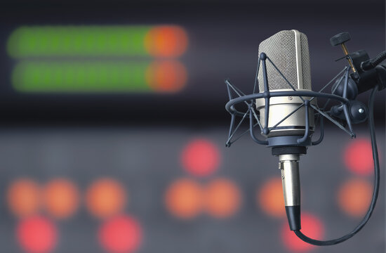 Professional microphone and sound mixer