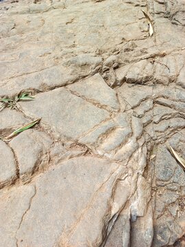 Textured Natural Rock Surface with Cracks and Dry Leaves &mdash; Stone Background