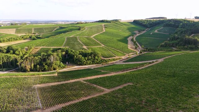 Vue a&eacute;rienne des vignobles de Chablis, en Bourgogne, film&eacute;e par drone. Rang&eacute;es de vignes au c&oelig;ur du c&eacute;l&egrave;bre terroir viticole fran&ccedil;ais.