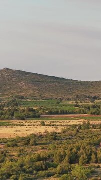Mediterranean countryside near Opoul Perillos, France. The frame features rolling green hills, scattered shrubs, and agricultural fields under a soft sky, vertical 9:16 view.