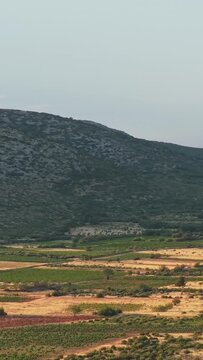 The agricultural fields and rolling hills near Opoul Perillos, France, vertical 9:16 view.