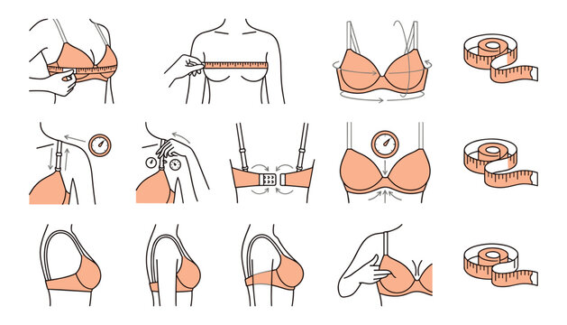 Bra size measurement and fitting guide icon set with tape measure strap adjustment and chest dimensions