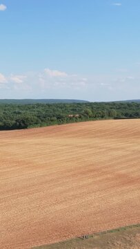 A wide golden wheat field bordered by dense green forest under a clear blue sky in the rural countryside of Nievre, France, aerial vertical 9:16 view.
