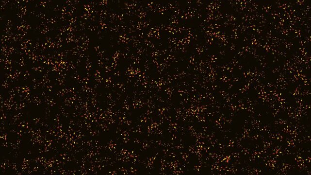 Seamless Loop of Autumn Leaves Falling Diagonally on a Dark Background
