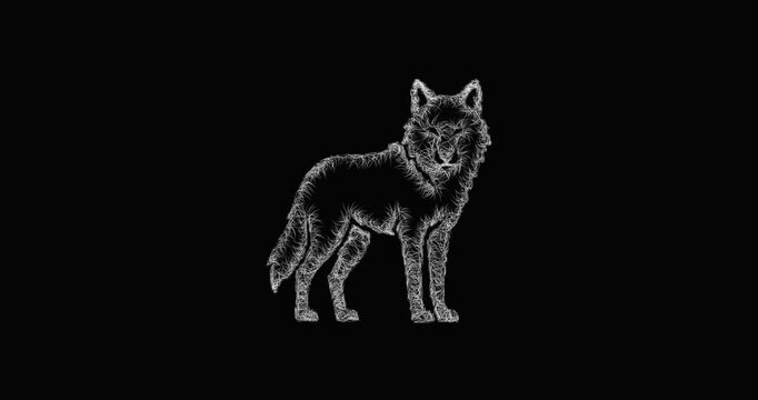 Sketch wolf icon animation - smooth progressive reveal
