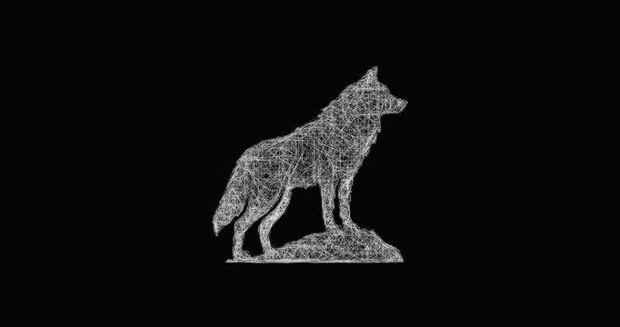 Sketch wolf silhouette icon animation - smooth progressive reveal