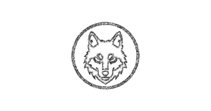 Sketch wolf emblem icon animation - smooth progressive reveal