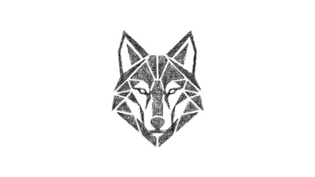 Sketch geometric wolf icon animation - smooth progressive reveal